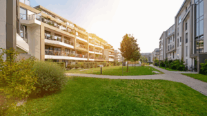 a grass lawn with trees and buildings in the background